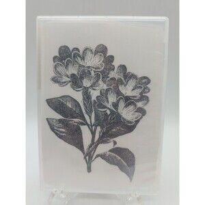 Stampin Up! Fresh Floral Background Red Rubber Cling